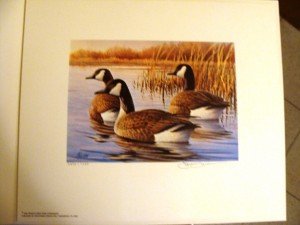 1355_duck1984