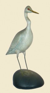 Crowell-American-egret
