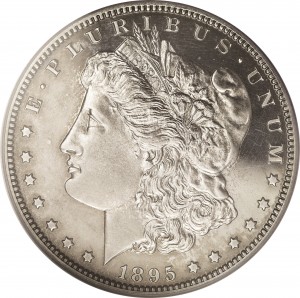 1895 Morgan Dollar