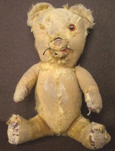 irish bear before