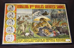 Ringling