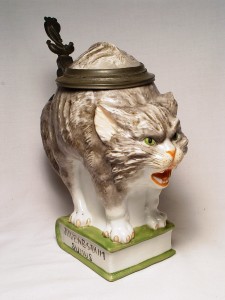 Hissing Cat on Book