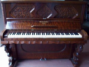 photo 2 Fancy-case piano