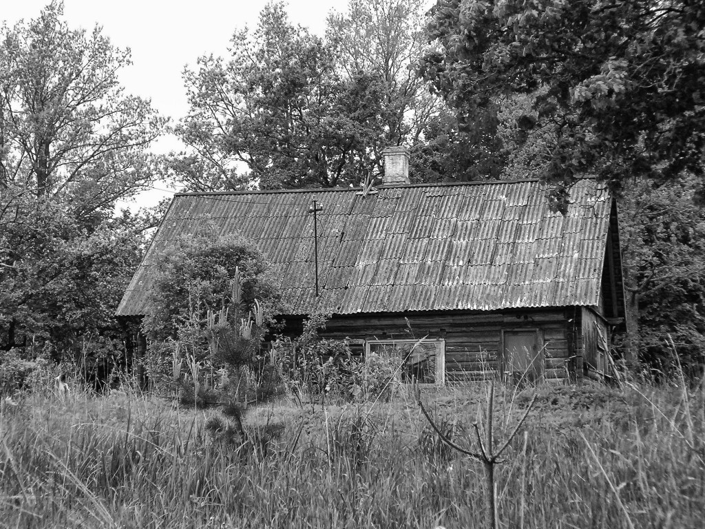 Exterior of Log Cabin upon purchase