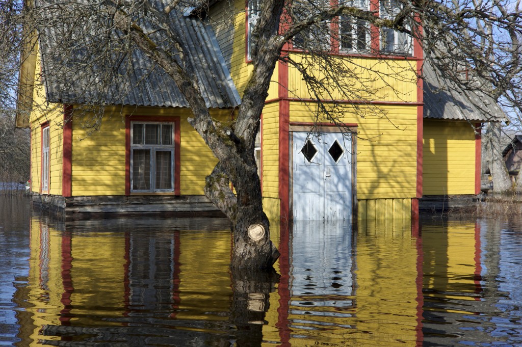 Flooded House in Soomaa, Estonia