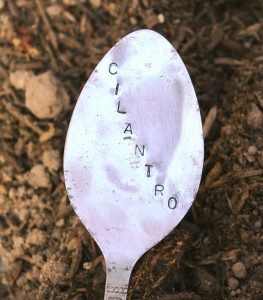 garden marker from spoon