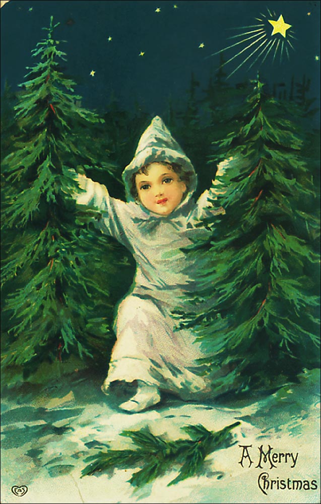 kidtrees