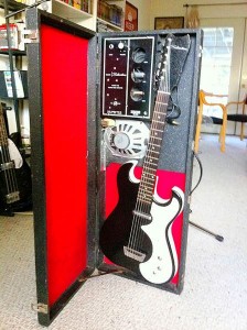 photo 1 Danelectro 1448 and case