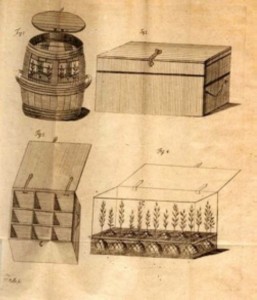 shippung boxes
