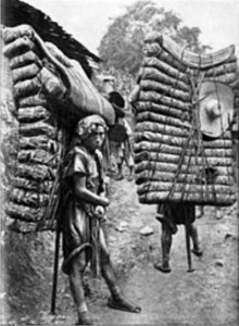 tea carriers