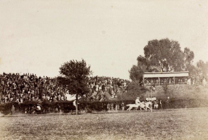 horse race