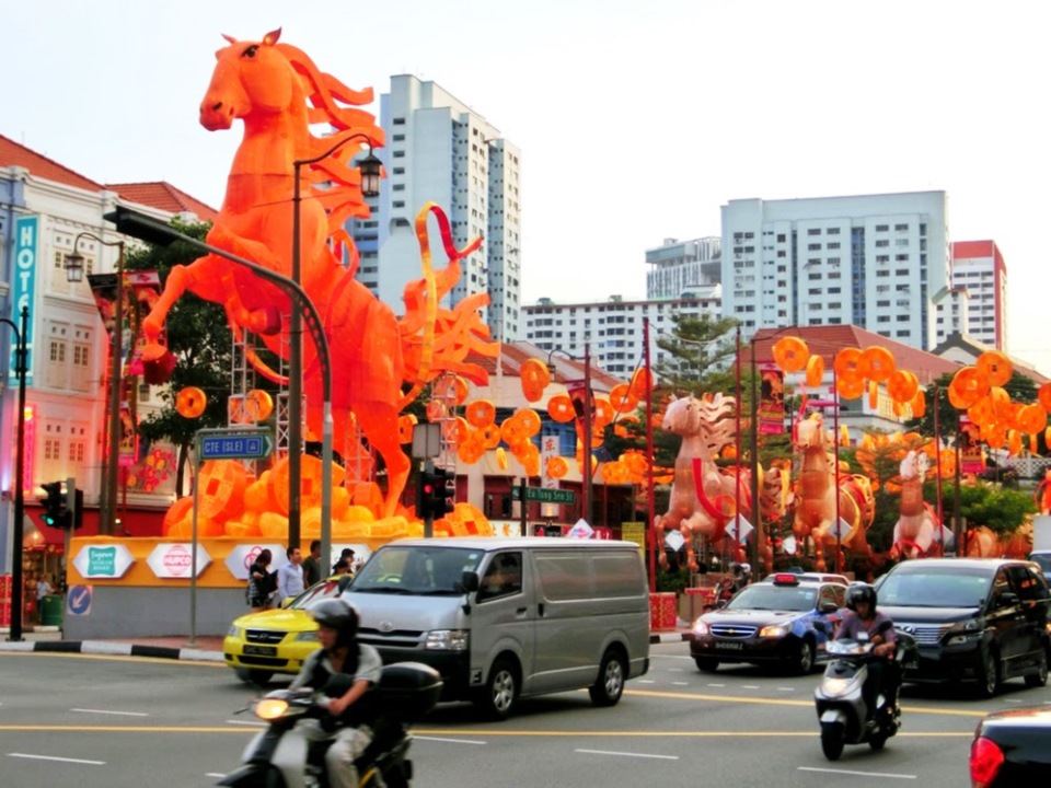 orange horses