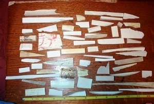 pre-ban ivory