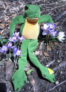 Steiff Early Cappy Frog