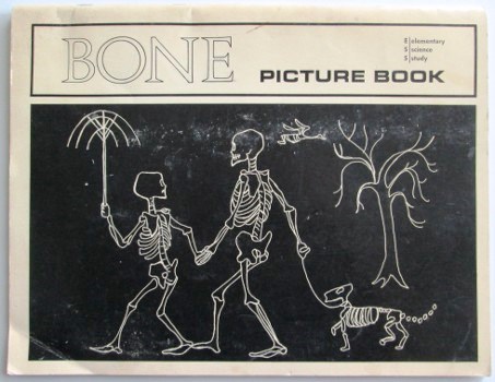 bones