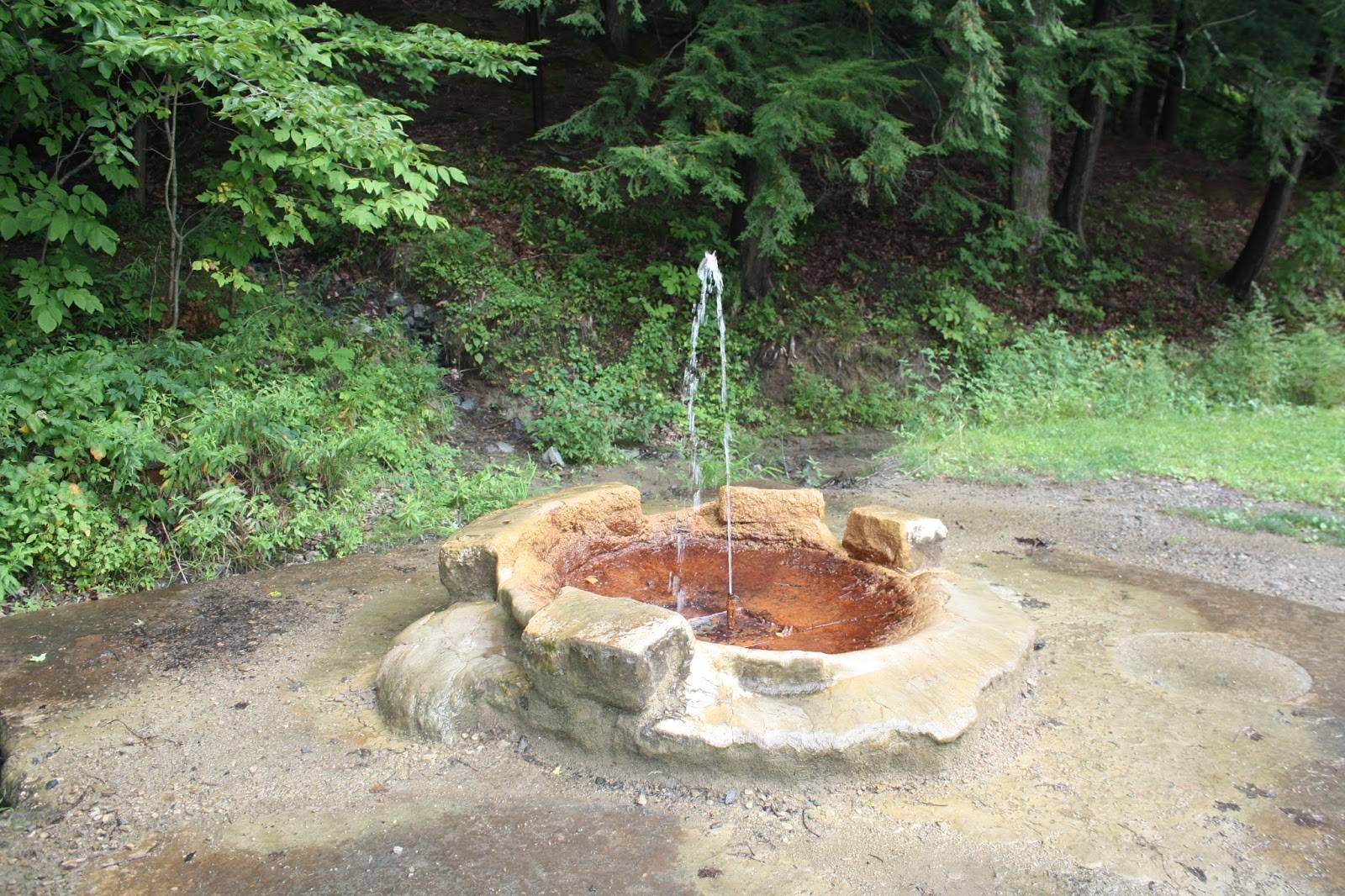 Dissertation mineral saratoga water